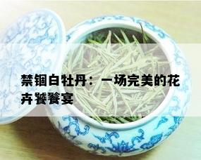 禁锢白牡丹：一场完美的花卉饕餮宴