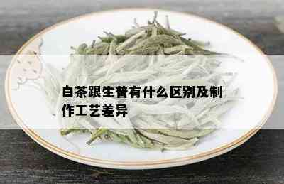 白茶跟生普有什么区别及制作工艺差异