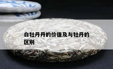 白牡丹丹的价值及与牡丹的区别