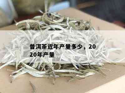 普洱茶近年产量多少，2020年产量