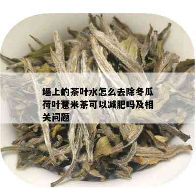 墙上的茶叶水怎么去除冬瓜荷叶薏米茶可以减肥吗及相关问题