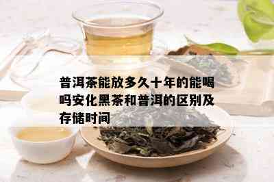 普洱茶能放多久十年的能喝吗安化黑茶和普洱的区别及存储时间