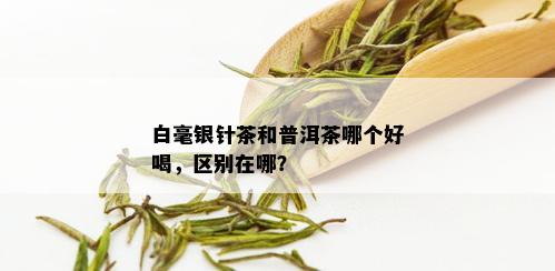 白毫银针茶和普洱茶哪个好喝，区别在哪？