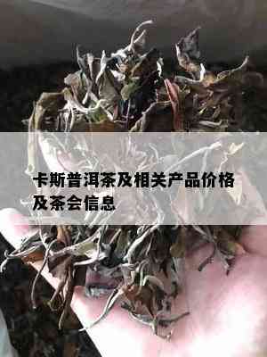 卡斯普洱茶及相关产品价格及茶会信息