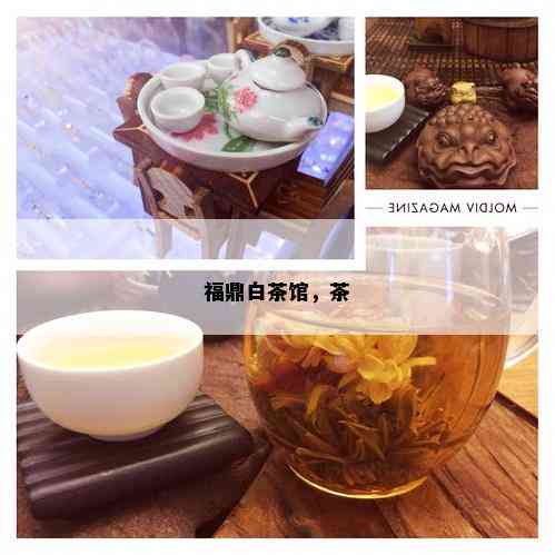 福鼎白茶馆，茶