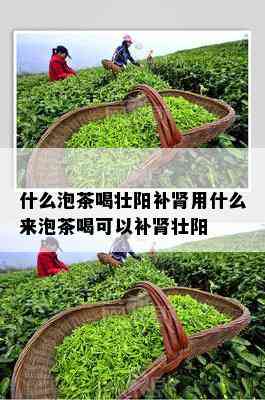 什么泡茶喝壮阳补肾用什么来泡茶喝可以补肾壮阳