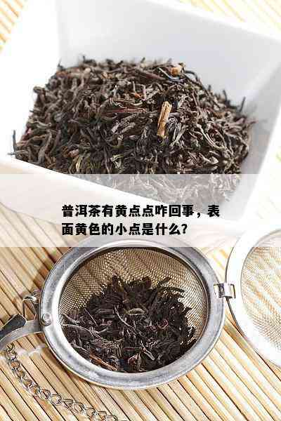 普洱茶有黄点点咋回事，表面黄色的小点是什么？