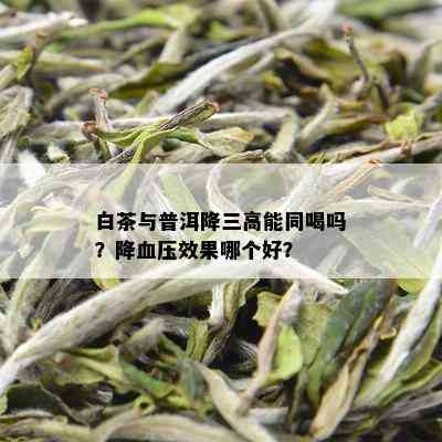 白茶与普洱降三高能同喝吗？降血压效果哪个好？