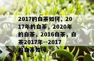 2017的白茶如何，2017年的白茶，2020年的白茶，2016白茶，白茶2017年--2017的白茶如何