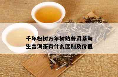 千年松树万年树熟普洱茶与生普洱茶有什么区别及价值