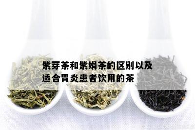 紫芽茶和紫娟茶的区别以及适合胃炎患者饮用的茶