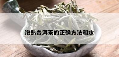 泡熟普洱茶的正确方法和水