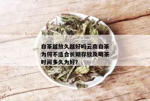 白茶越放久越好吗云南白茶为何不适合长期存放及喝茶时间多久为好？