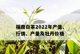 福鼎白茶2022年产值、行情、产量及牡丹价格