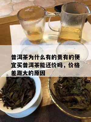 普洱茶为什么有的贵有的便宜买普洱茶能还价吗，价格差距大的原因