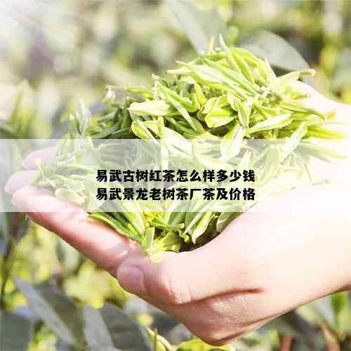 易武古树红茶怎么样多少钱易武景龙老树茶厂茶及价格