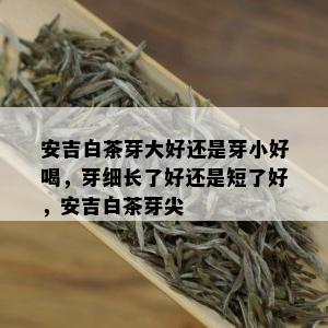 安吉白茶芽大好还是芽小好喝，芽细长了好还是短了好，安吉白茶芽尖