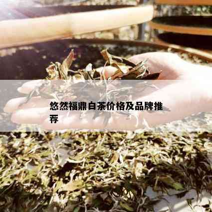 悠然福鼎白茶价格及品牌推荐