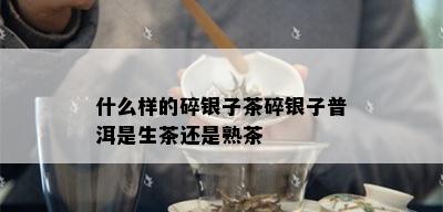 什么样的碎银子茶碎银子普洱是生茶还是熟茶