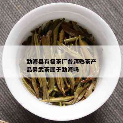 勐海县有福茶厂普洱熟茶产品易武茶属于勐海吗