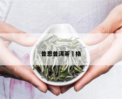 普恩普洱茶價格