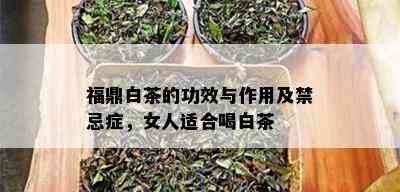 福鼎白茶的功效与作用及禁忌症，女人适合喝白茶