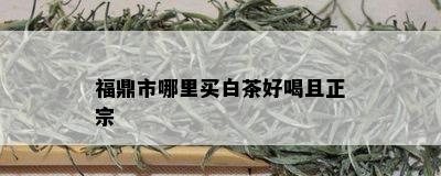 福鼎市哪里买白茶好喝且正宗