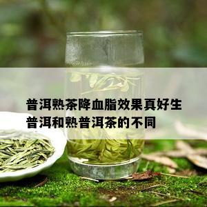 普洱熟茶降血脂效果真好生普洱和熟普洱茶的不同