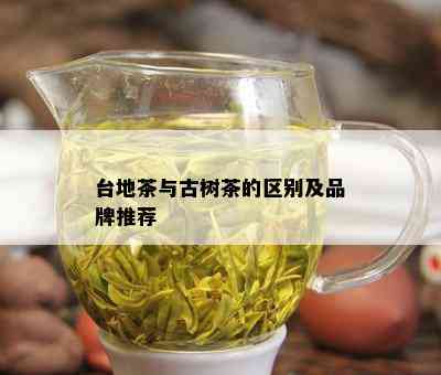 台地茶与古树茶的区别及品牌推荐