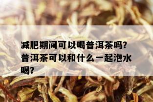 减肥期间可以喝普洱茶吗？普洱茶可以和什么一起泡水喝？