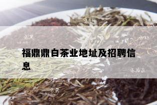 福鼎鼎白茶业地址及招聘信息