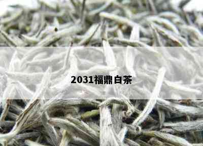 2031福鼎白茶