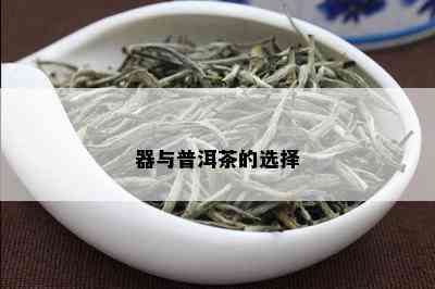 器与普洱茶的选择