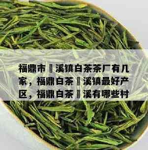 福鼎市磻溪镇白茶茶厂有几家，福鼎白茶磻溪镇更好产区，福鼎白茶磻溪有哪些村