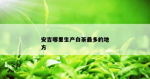 安吉哪里生产白茶最多的地方