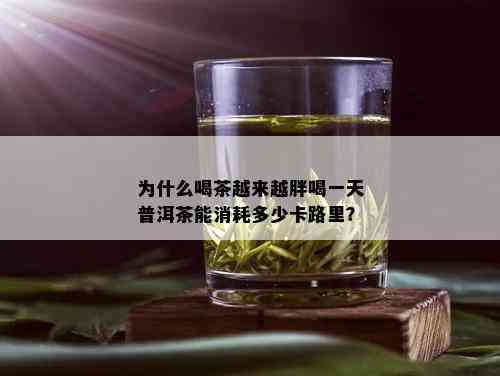 为什么喝茶越来越胖喝一天普洱茶能消耗多少卡路里？