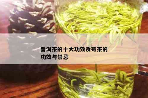 普洱茶的十大功效及莓茶的功效与禁忌