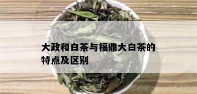 大政和白茶与福鼎大白茶的特点及区别