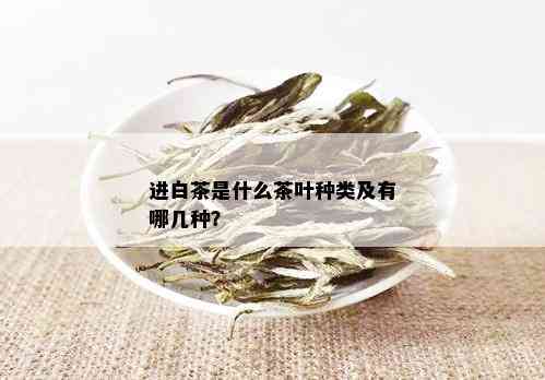 进白茶是什么茶叶种类及有哪几种？