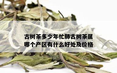 古树茶多少年忙肺古树茶属哪个产区有什么好处及价格