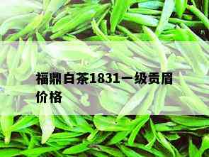 福鼎白茶1831一级贡眉价格