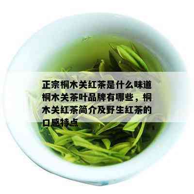 正宗桐木关红茶是什么味道桐木关茶叶品牌有哪些，桐木关红茶简介及野生红茶的口感特点