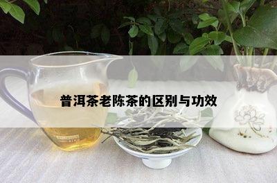 普洱茶老陈茶的区别与功效