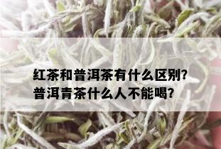 红茶和普洱茶有什么区别？普洱青茶什么人不能喝？