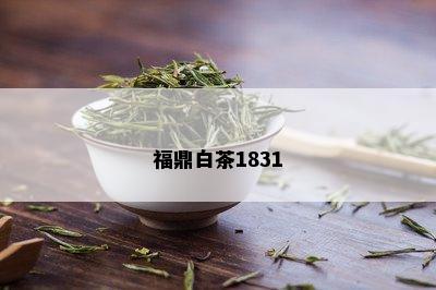 福鼎白茶1831