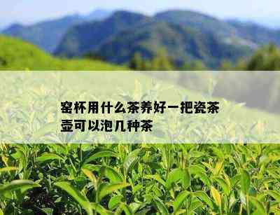 窑杯用什么茶养好一把瓷茶壶可以泡几种茶