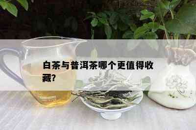 白茶与普洱茶哪个更值得收藏？