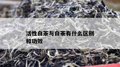 活性白茶与白茶有什么区别和功效