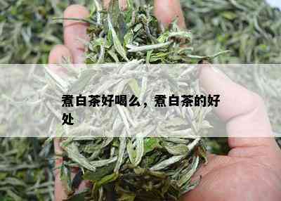 煮白茶好喝么，煮白茶的好处