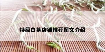 特级白茶店铺推荐图文介绍